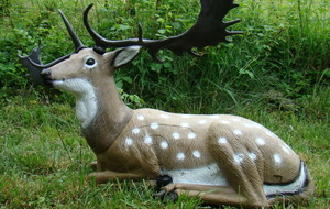 Concours 3D des 11 et 12/04/26